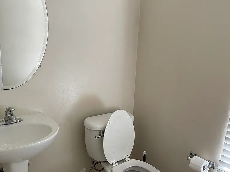 4593 Leamore Square Rd — Photo 16