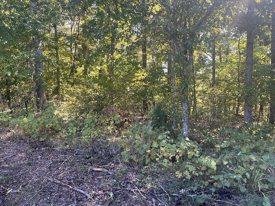 1st image of 167 Chickadee Trl