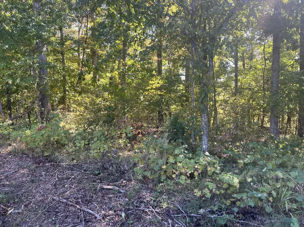 167 Chickadee Trl, Kingston Springs, TN 37082