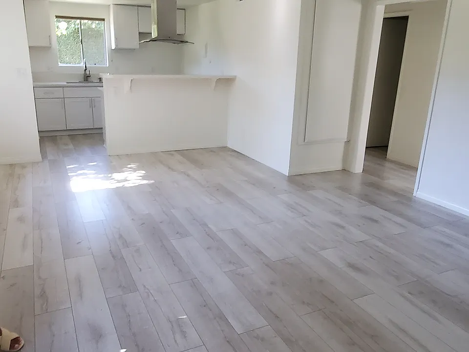 Kitchen and Living area