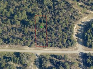 2333 W Windchime Loop, Citrus Springs, FL 34434