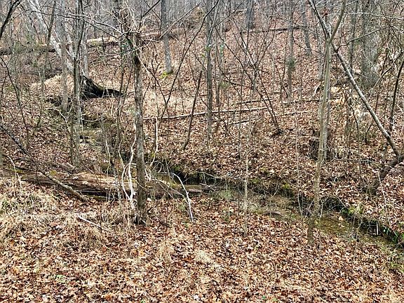 4th image of 0 Mountain Cir #45