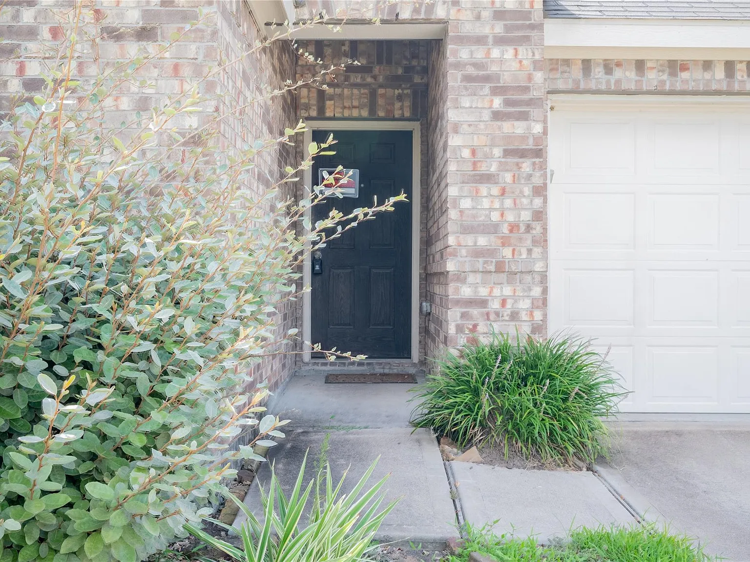3 bed, 2.0 bath, 1491 sqft, $2,300 — Photo 4