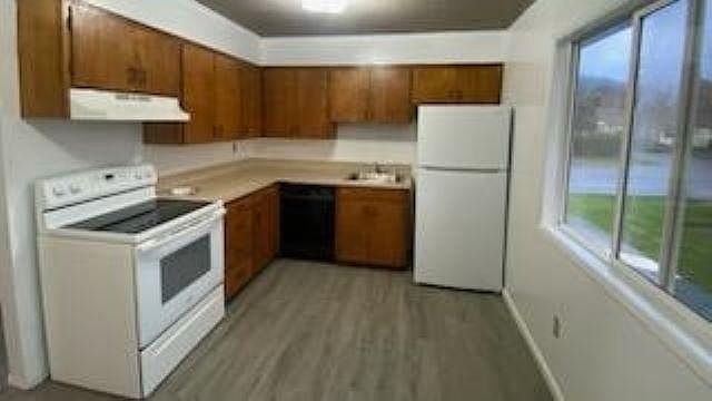 Lots of natural light in the kitchen!