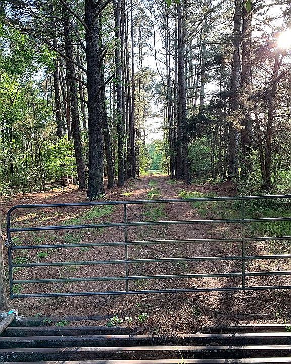 Country rd dead ends into