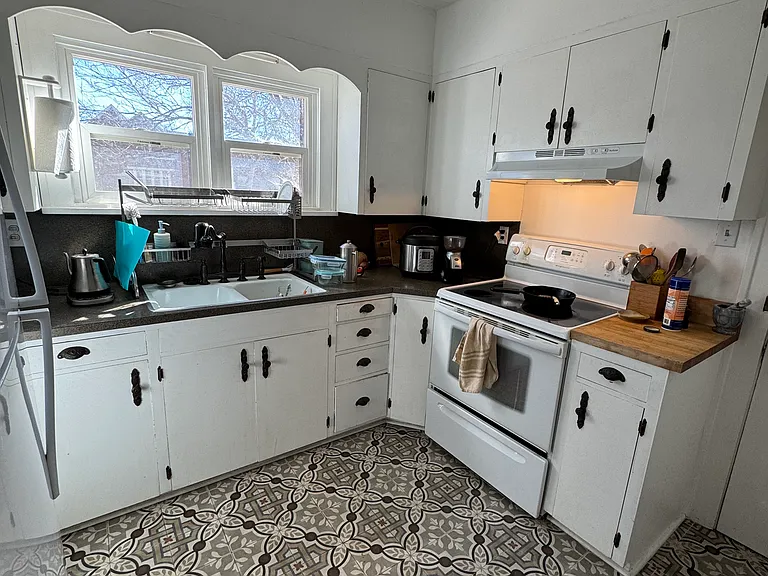 223 E Elizabeth St #1 — Photo 6