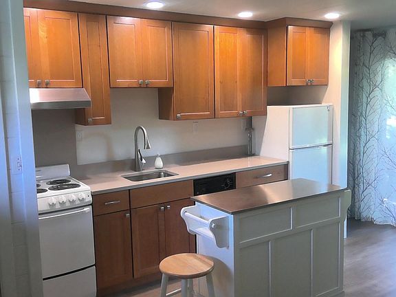Brand new kitchen - dishwasher, stove, fridge all new. The island has wheels and expands counter space.