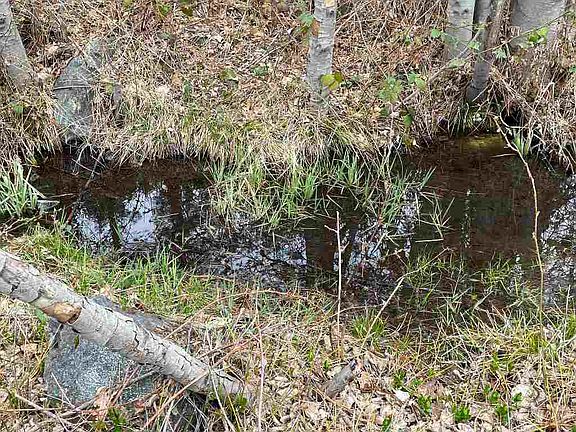 5th image of 23811 Scott River Rd