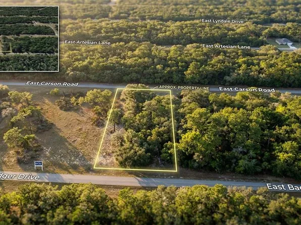 1728 E Badger Dr Lot 10, Dunnellon, FL 34434