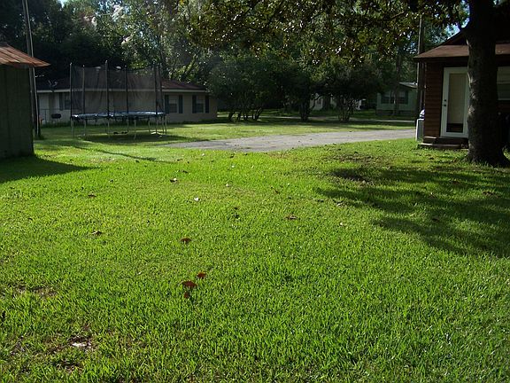 back yard looking toward second lot