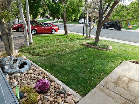 Front Yard