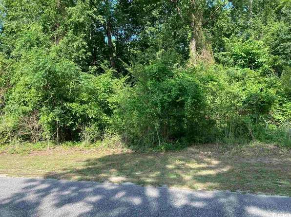 B Deer Run Ave., Andrews, SC 29510