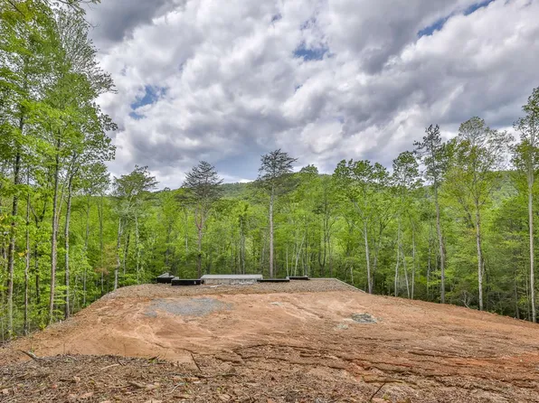 738 Old Parker Ter, Ellijay, GA 30540