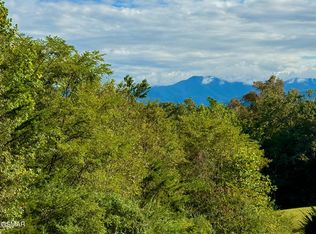 LOT 38 Al Hannon Rd, Newport, TN 37821