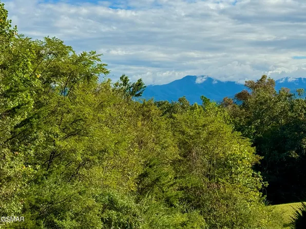 LOT 38 Al Hannon Rd, Newport, TN 37821