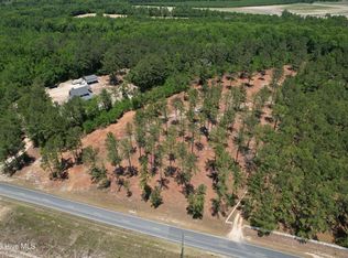 Sr 1323 Dowd Dairy Road, White Oak, NC 28399