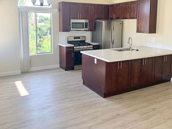 Large sunny living/kitchen/dining area