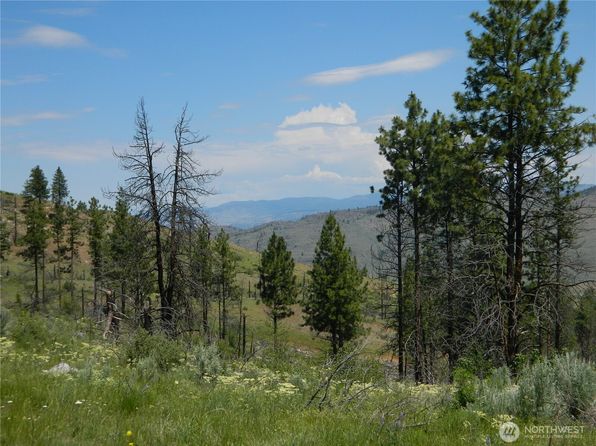 428 Five Mile Road, Tonasket, WA 98855