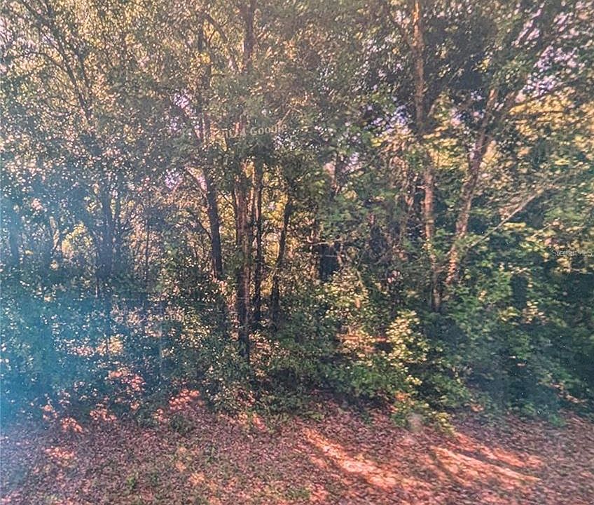 1st image of 8973 N Bee Way Lot 200
