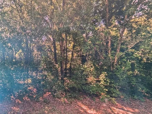 8973 N Bee Way Lot 200, Dunnellon, FL 34434