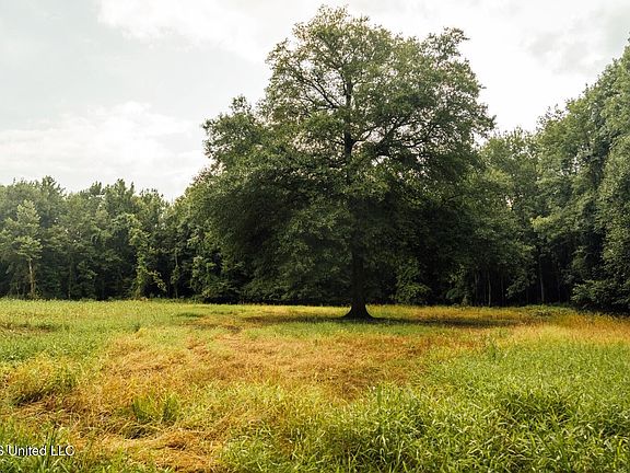 36th image of this home