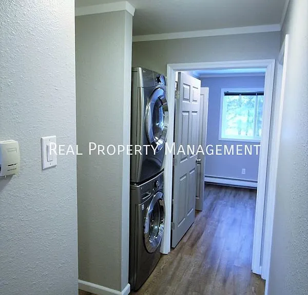 241 McCarrey St #11 — Photo 5