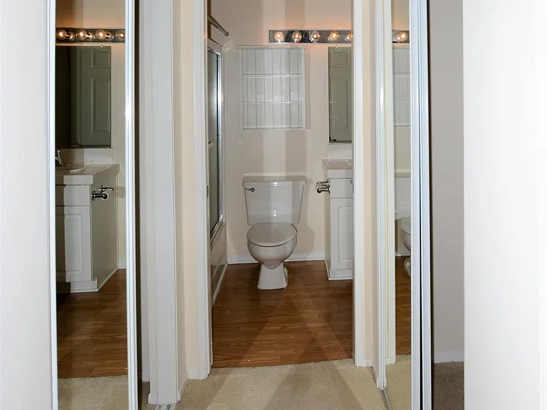 Guest Bedroom hallway and closets.