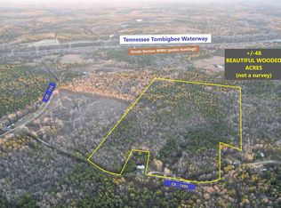 County Road 1495, Burnsville, MS 38833