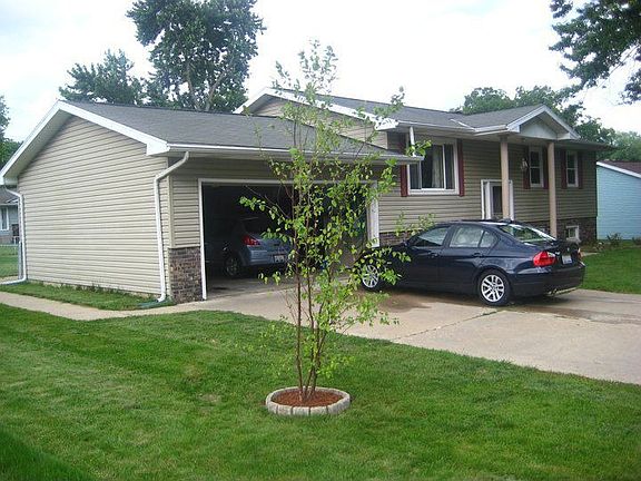 Planted young heritage birch in front yard.