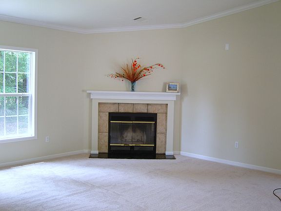 Wood burning fireplace