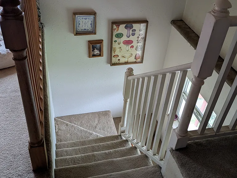 1207 Carolina St — Photo 17