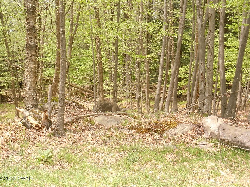 2nd image of 127 Pocono Dr