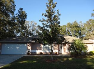 220 Bryan Oak Ave, Brandon, FL 33511