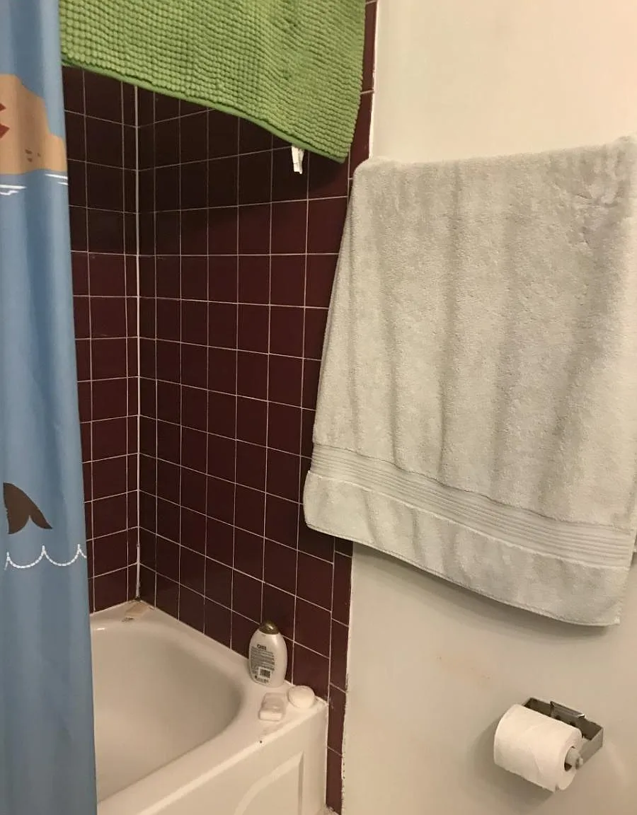2 bed, 700 sqft, $2,500 — Photo 3