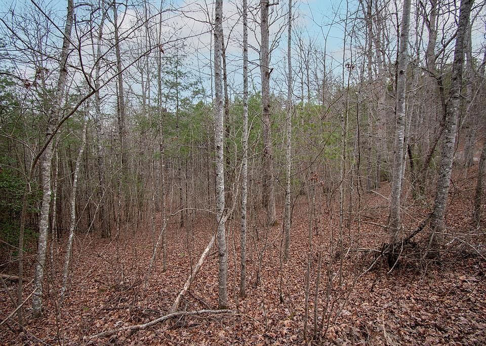 1st image of LOT 38 Posey Pl