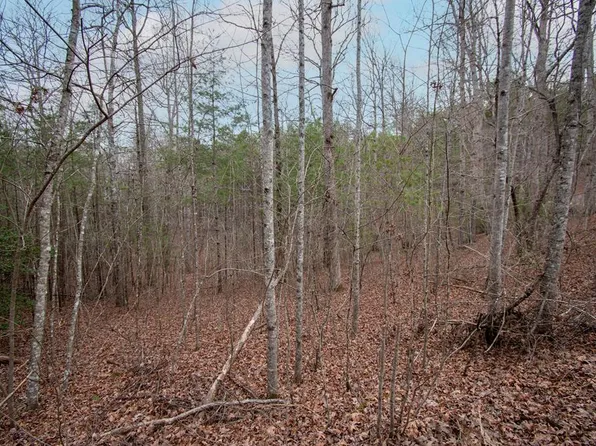 LOT 38 Posey Pl, Murphy, NC 28906