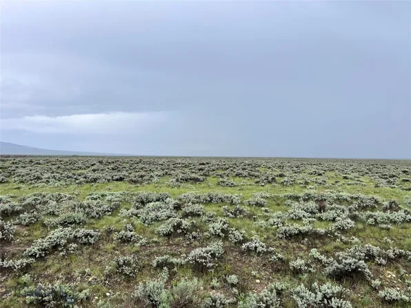 TRACT 30 Steel Creek Rd, Wisdom, MT 59761