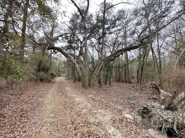 7875 SW County Road 344, Bell, FL 32619