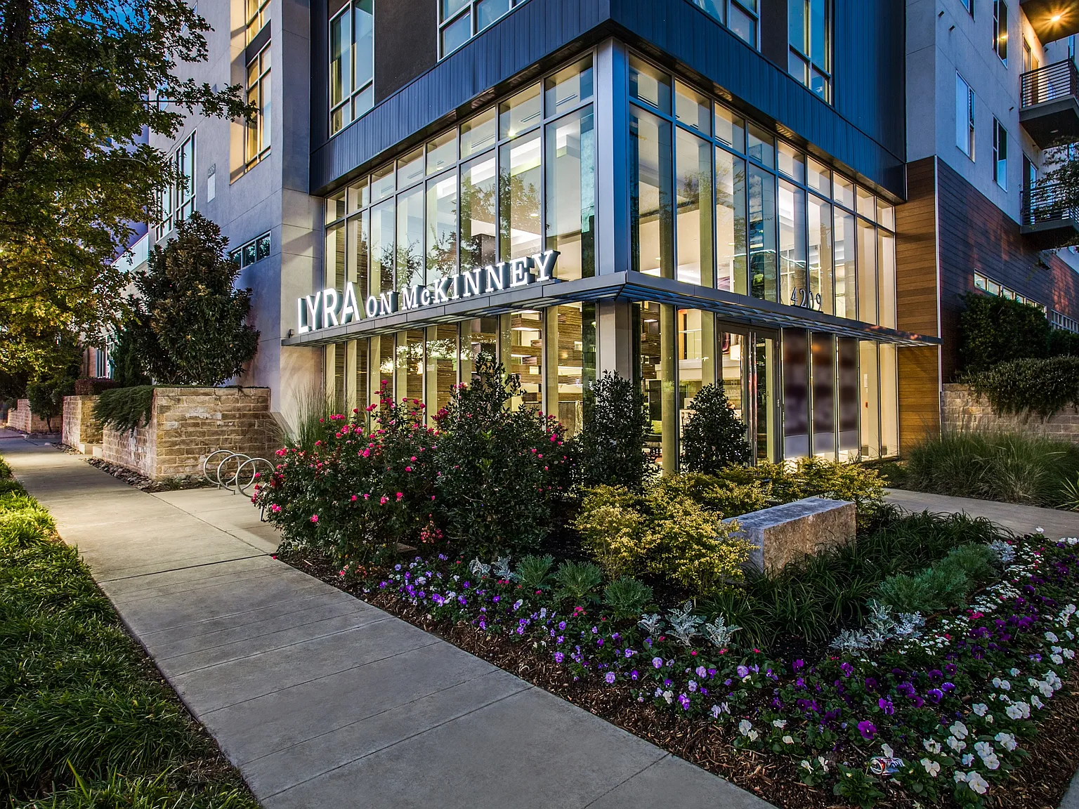 Lyra on McKinney — Photo 2