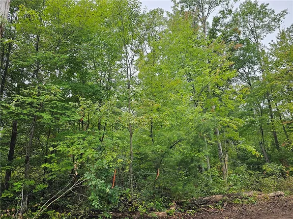 Lot 6 Maria's Way, Webster, WI 54893