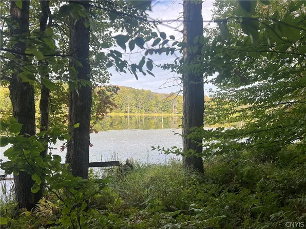 Stramba Rd #42, Cincinnatus, NY 13040