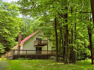 94 Baxter Rd, Pleasant Mount, PA 18453