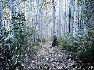 2nd image of 6 S Woodchuck Way #6-PI-G