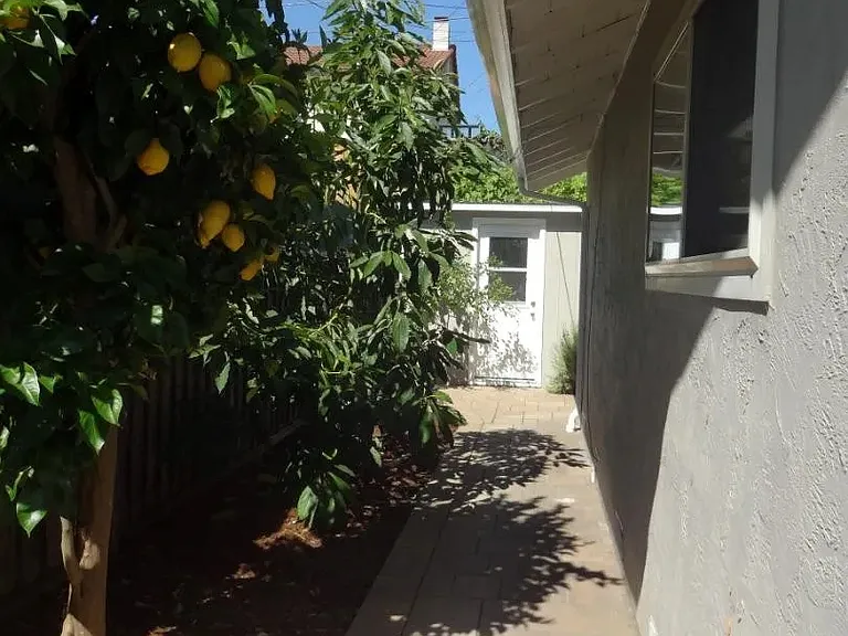 Sideyard