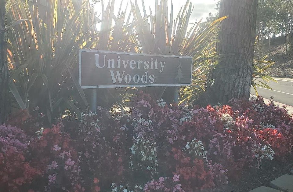 University Wood Community