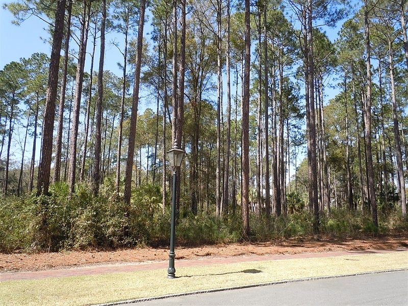 1st image of 155 Stallings Island St