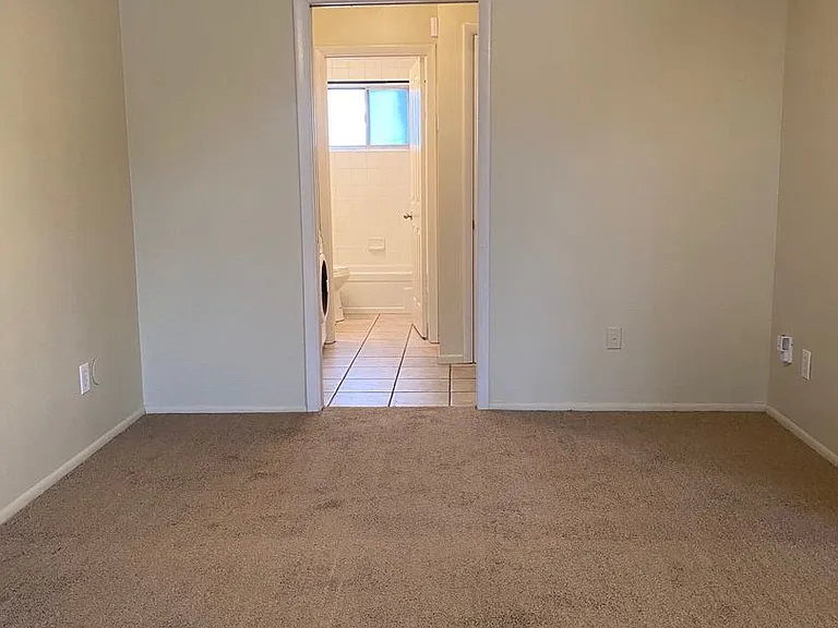 Ramona — Photo 20