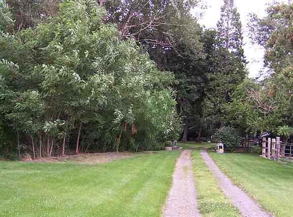 2nd image of 247436 E Sr 397