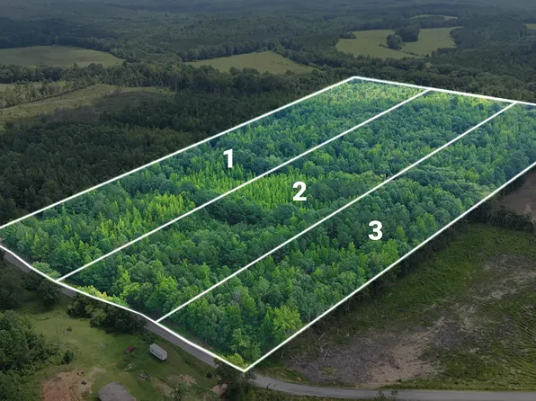 LOT 3 Martin Rd NE, Golden, MS 38847