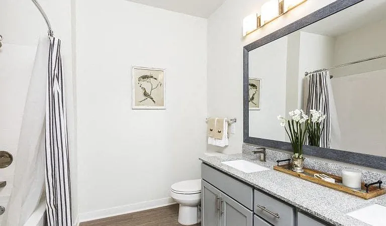 Bathroom with double vanity